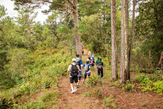 a group of friends hiking on a local trail