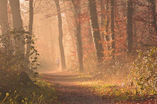 hiking on a well-maintained trail