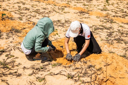 Volunteers planting trees