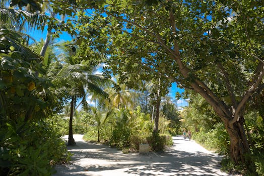 biking through a scenic trail