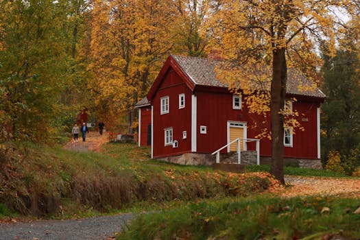 scenic hiking trail surrounded by nature