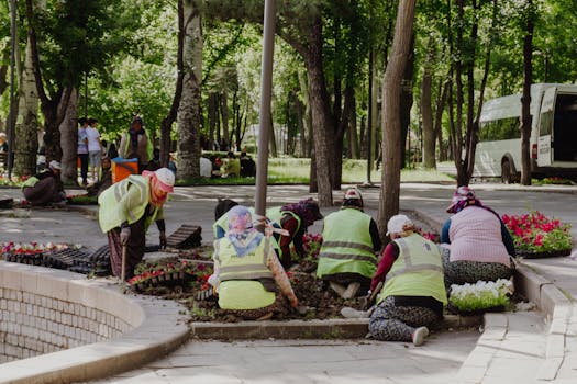 volunteers planting trees