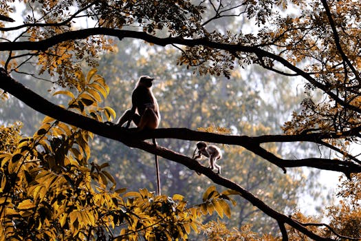 family observing wildlife on a tour