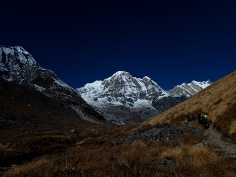 hikers enjoying a beautiful trail