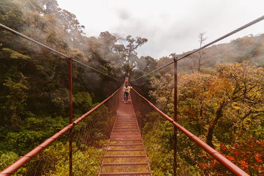 stunning rainforest view with wildlife