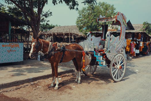 bustling local market in a small town