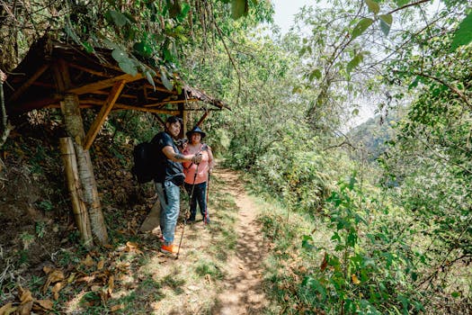 scenic nature trail with hikers