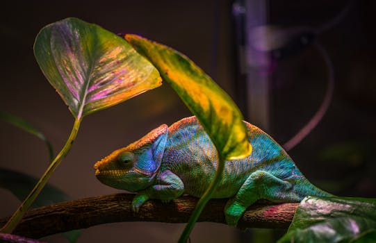 Vibrant jungle with wildlife