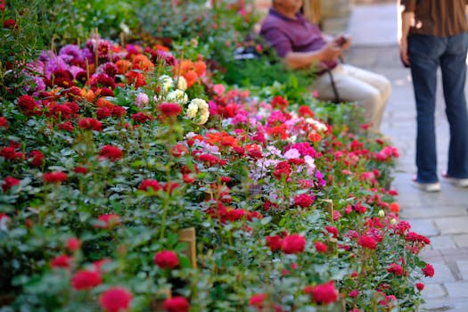 lush city park with people enjoying nature