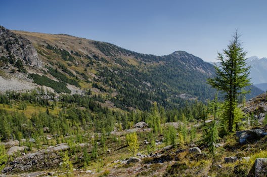 Damaged hiking trail