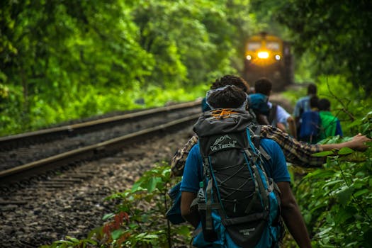 group of people hiking in nature