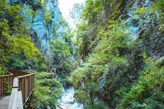 scenic nature trail with lush greenery