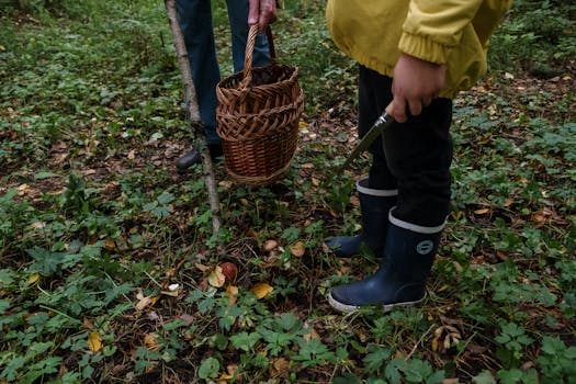 sustainable camping practices