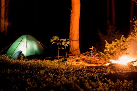 camping under the stars