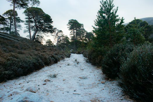 beautiful hiking trail