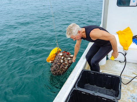 Image of sustainable fishing gear