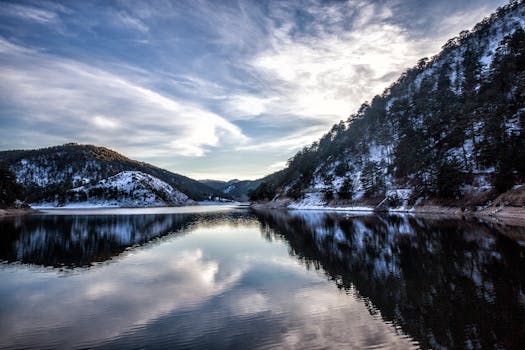 pristine forest landscape