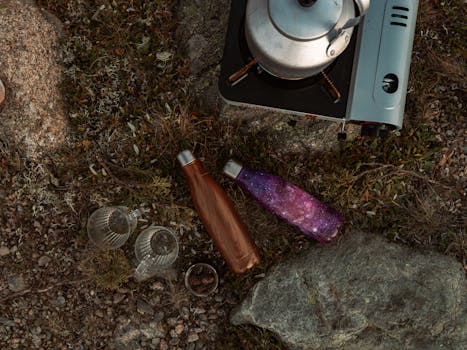 eco-friendly picnic setup in nature