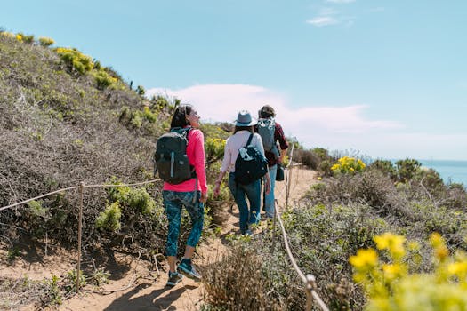 eco-friendly backpack for hiking