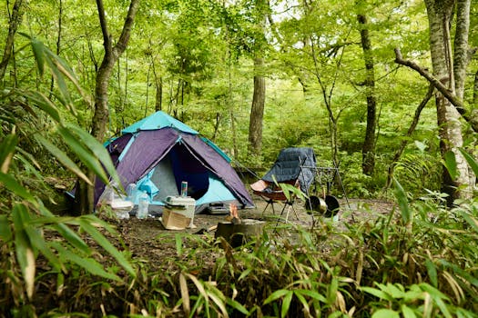 Sustainable camping gear